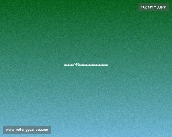 虚拟私有服务器VPS竞技盛典全球精英云端对决技术革新荣耀时刻