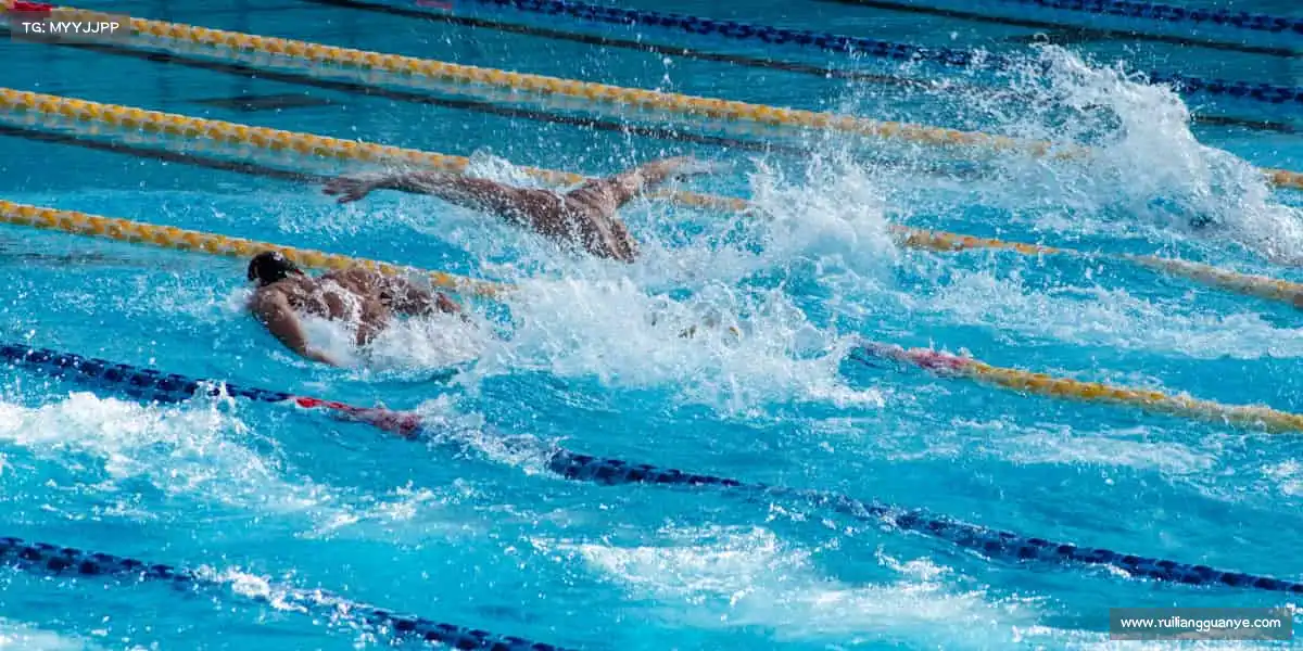 ag尊龙官方网站入口——潜水冒险,探秘深蓝🌊